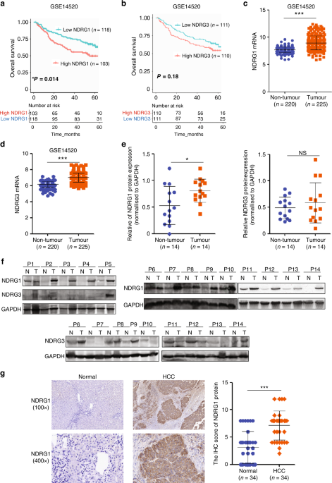 NDRG1 facilitates self-renewal of liver cancer stem cells by preventing EpCAM ubiquitination