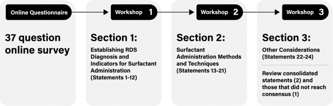 RDS-NExT workshop: consensus statements for the use of surfactant in preterm neonates with RDS