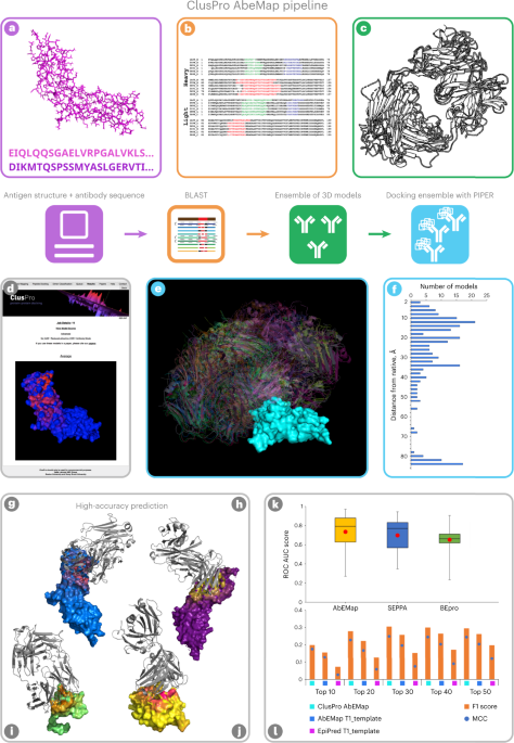 The ClusPro AbEMap web server for the prediction of antibody epitopes