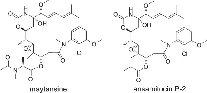 Development of a drug discovery approach from microbes with a special focus on isolation sources and taxonomy