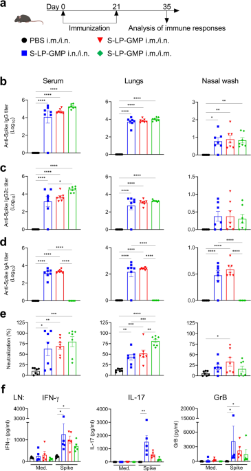 Intranasal COVID-19 vaccine induces respiratory memory T cells and protects K18-hACE mice against SARS-CoV-2 infection
