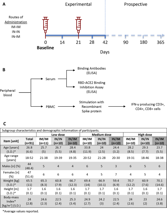 Interim safety and immunogenicity results from an NDV-based COVID-19 vaccine phase I trial in Mexico