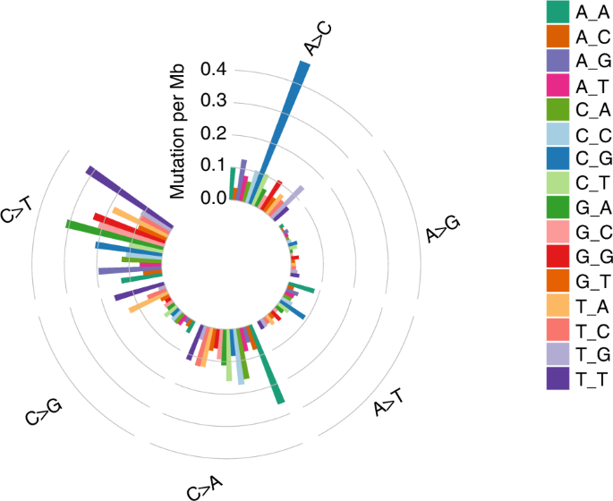 Whole-exome and targeted gene sequencing of large-cell lung carcinoma reveals recurrent mutations in the PI3K pathway