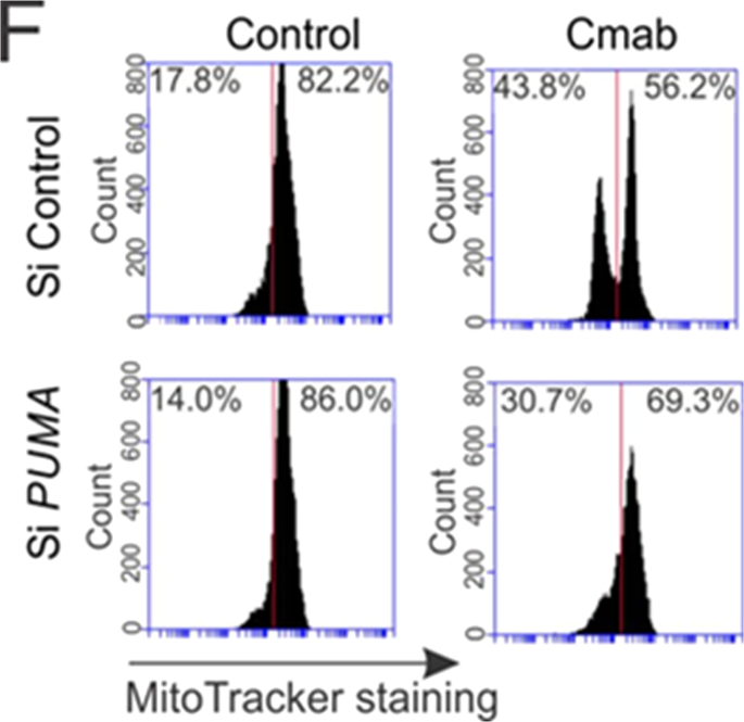Correction: Restoring PUMA induction overcomes KRAS-mediated resistance to anti-EGFR antibodies in colorectal cancer