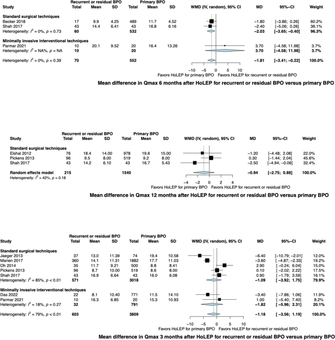 Enucleation of the prostate as retreatment for recurrent or residual benign prostatic obstruction: a systematic review and a meta-analysis