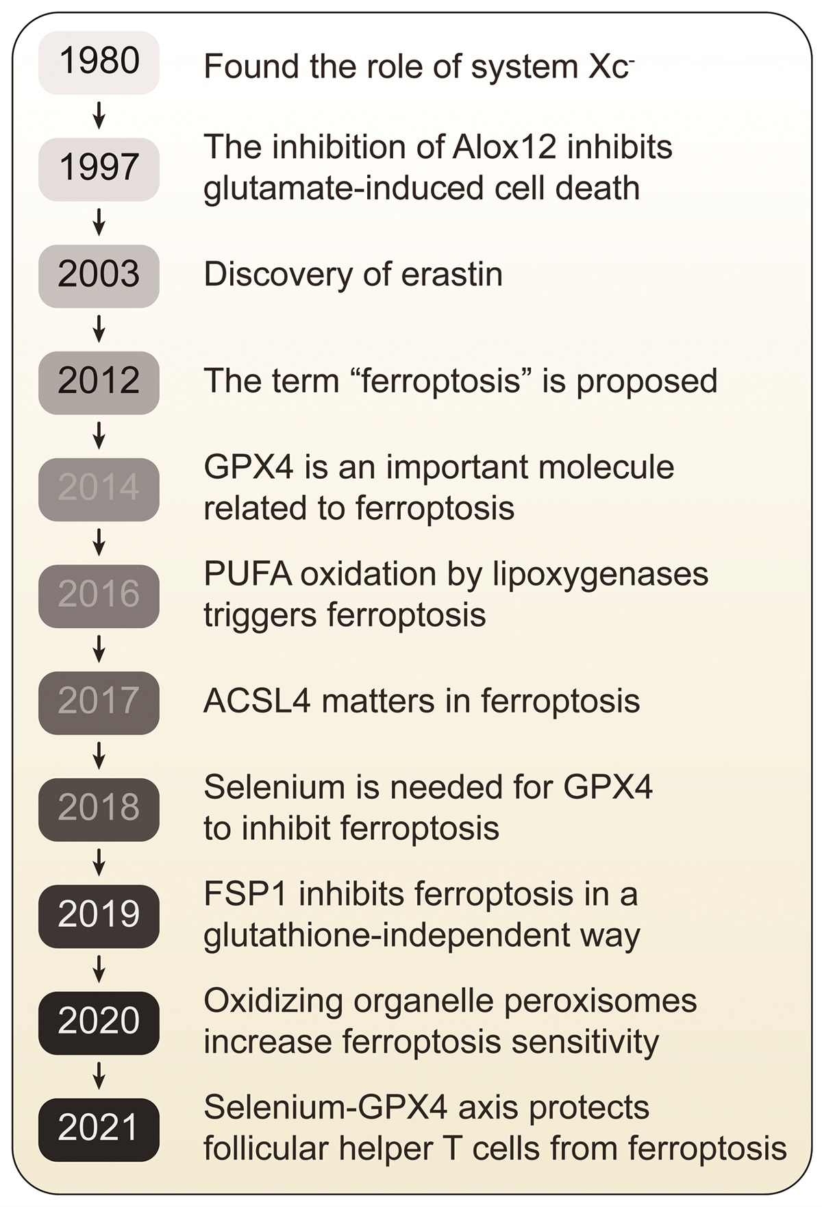 Ferroptosis in acute leukemia