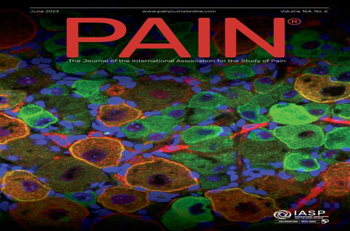 The genesis of the unequal burden of pain: a selective review examining social inequities and unheard voices