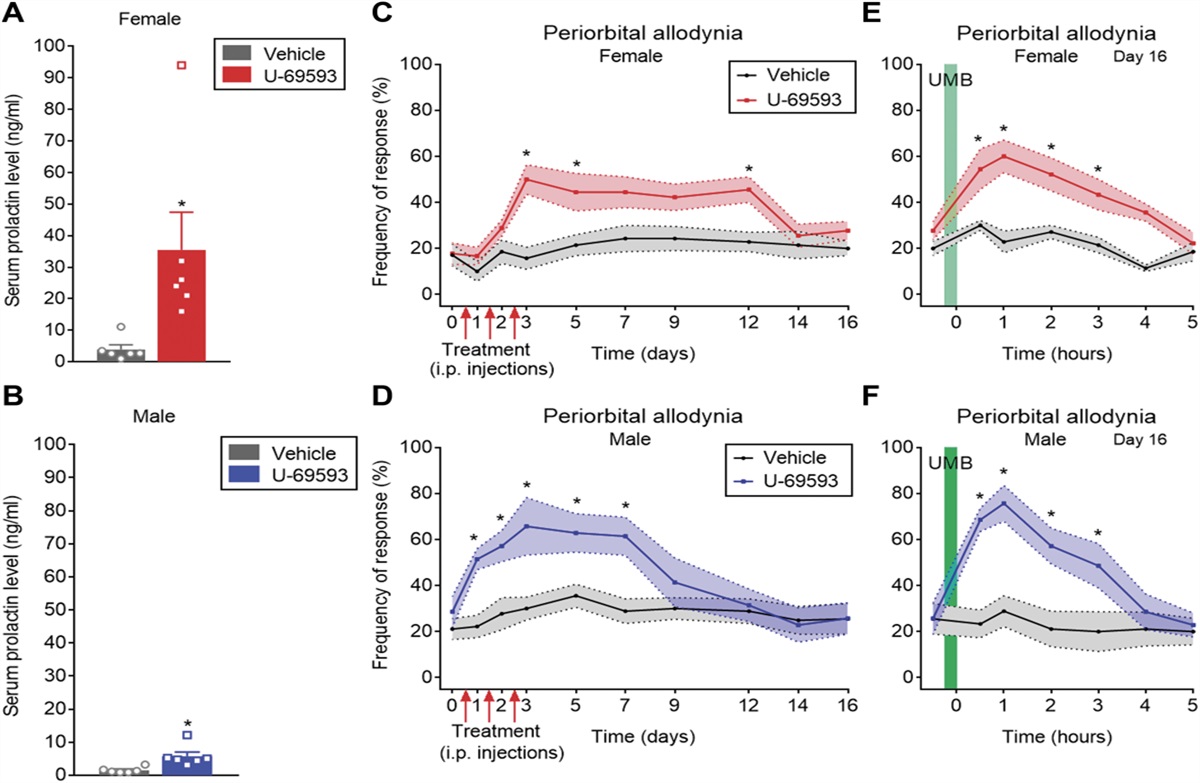 Kappa opioid receptor agonists produce sexually dimorphic and prolactin-dependent hyperalgesic priming