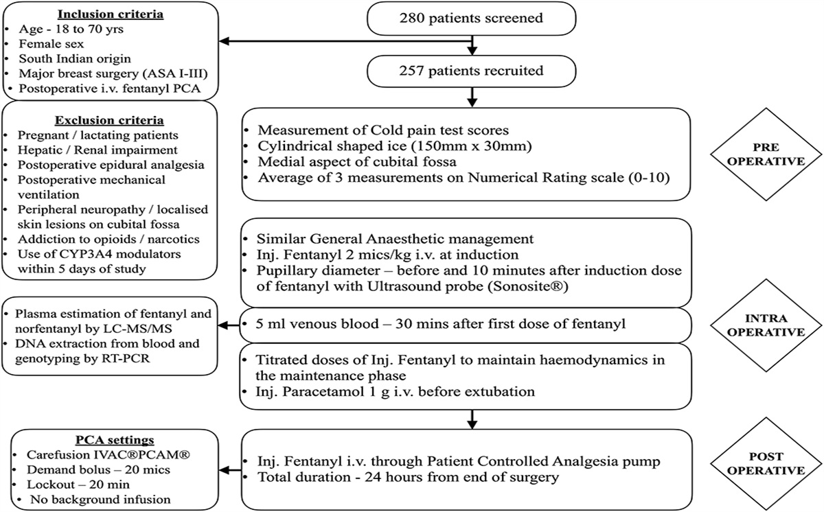 Predictive models for fentanyl dose requirement and postoperative pain using clinical and genetic factors in patients undergoing major breast surgery