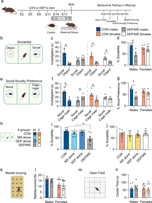 Microbial modulation via cross-fostering prevents the effects of pervasive environmental stressors on microglia and social behavior, but not the dopamine system