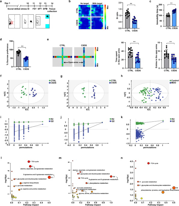 Targeting PDK2 rescues stress-induced impaired brain energy metabolism
