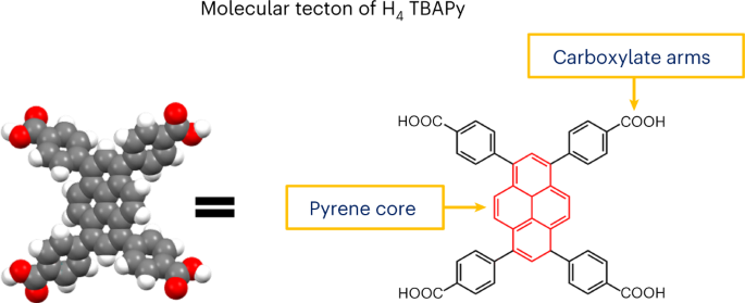 Encapsulating and stabilizing enzymes using hydrogen-bonded organic frameworks