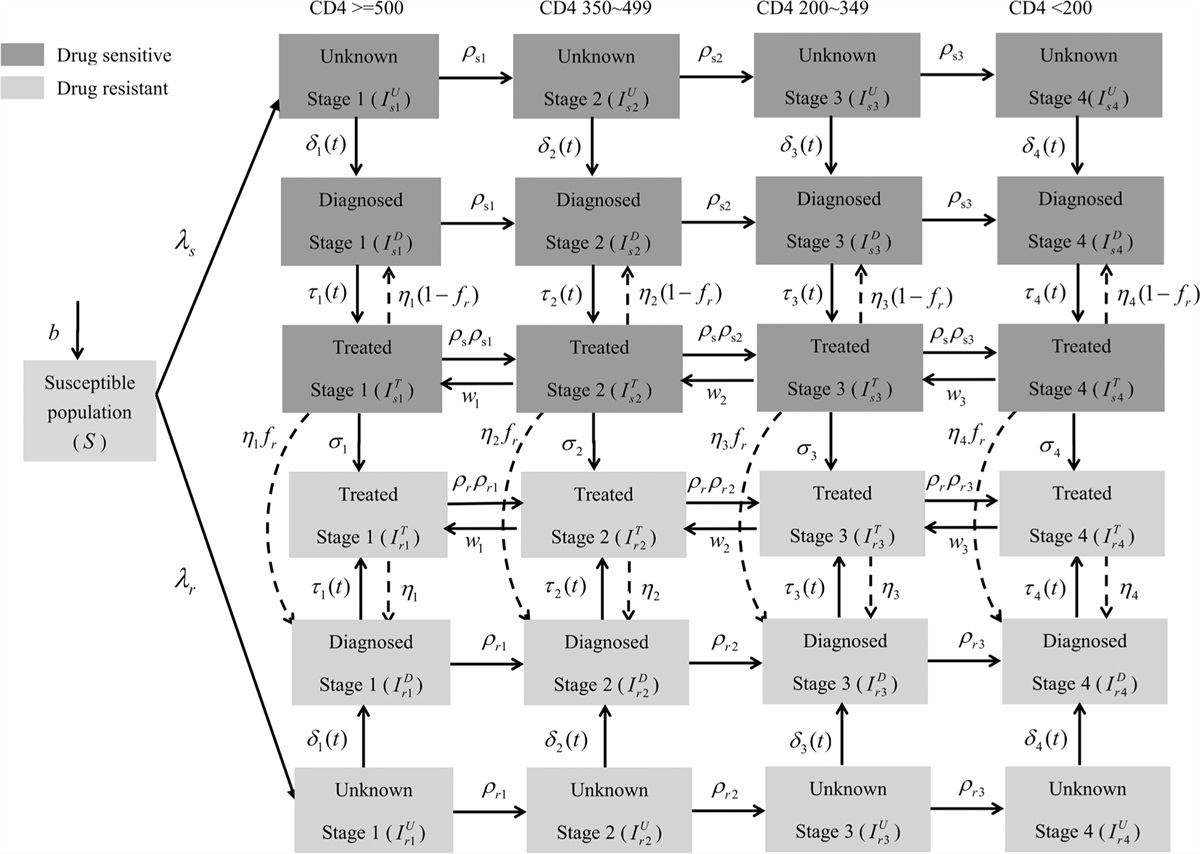 The impact of attrition on the transmission of HIV and drug resistance