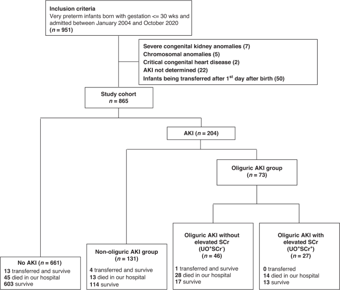 Preceding risks and mortality outcomes of different neonatal acute kidney injury in preterm infants