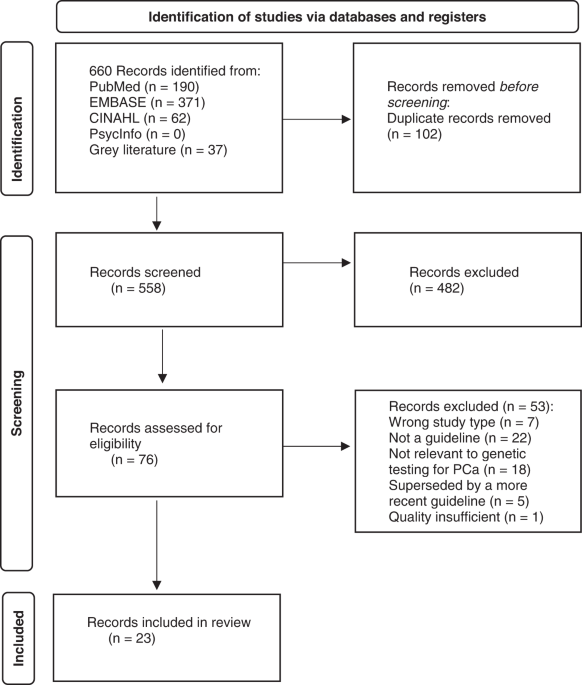 Guidelines for genetic testing in prostate cancer: a scoping review