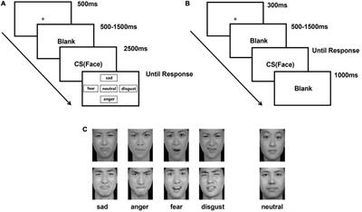 Eye movements and ERP biomarkers for face processing problems in avoidant attachment-style individuals