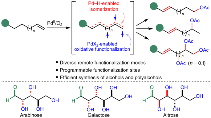 Multi-site programmable functionalization of alkenes via controllable alkene isomerization