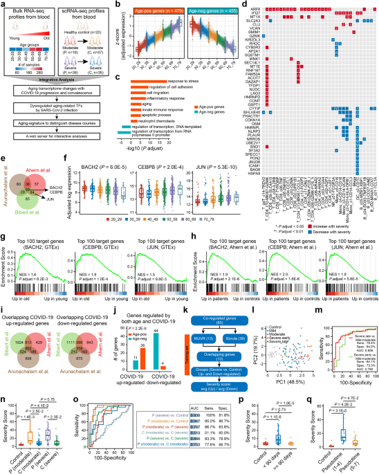 Deciphering dynamic changes of the aging transcriptome with COVID-19 progression and convalescence in the human blood