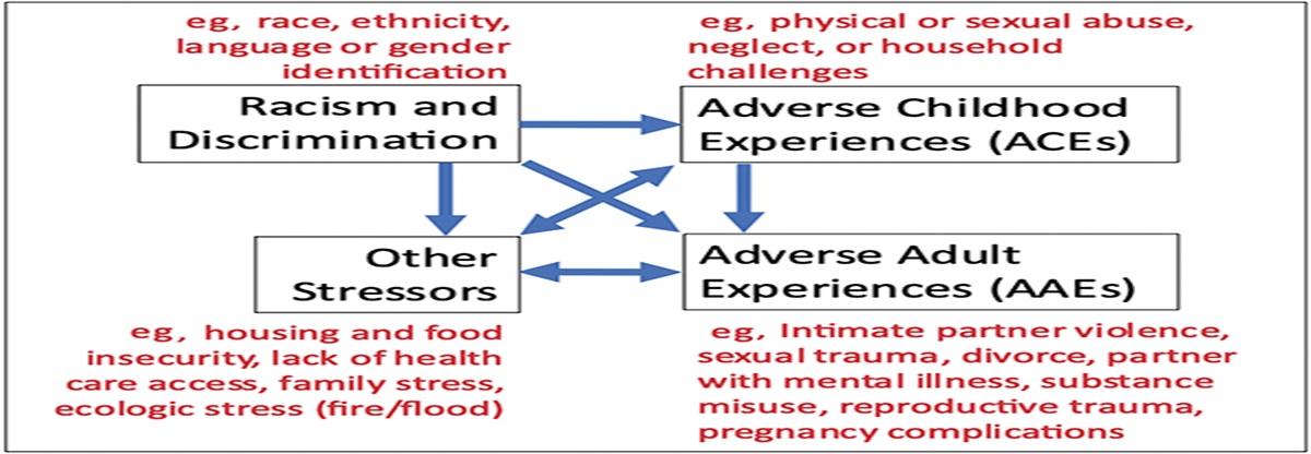 Addressing Adverse Childhood and Adult Experiences During Prenatal Care