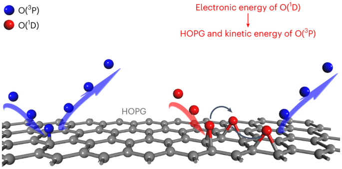 Spin-dependent reactivity and spin-flipping dynamics in oxygen atom scattering from graphite