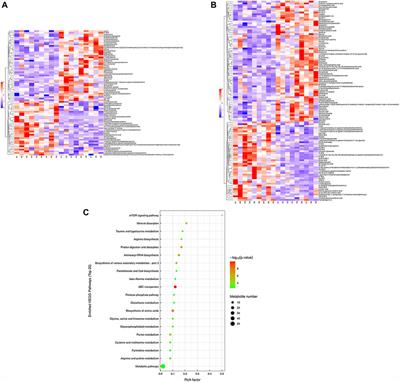 Redox state and metabolic responses to severe heat stress in lenok Brachymystax lenok (Salmonidae)