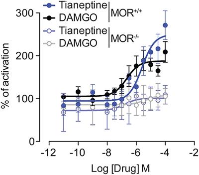 Chronic tianeptine induces tolerance in analgesia and hyperlocomotion via mu-opioid receptor activation in mice