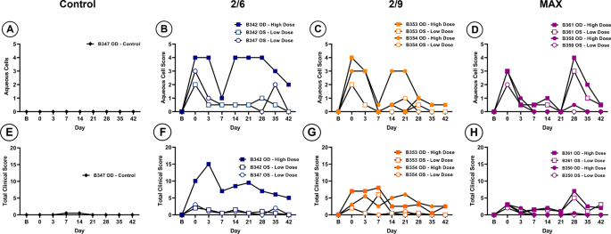 Tolerability and tropism of recombinant adeno-associated virus vectors in the African green monkey (Chlorocebus sabaeus) anterior chamber