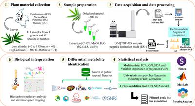 Untargeted metabolomics approach and molecular networking analysis reveal changes in chemical composition under the influence of altitudinal variation in bamboo species