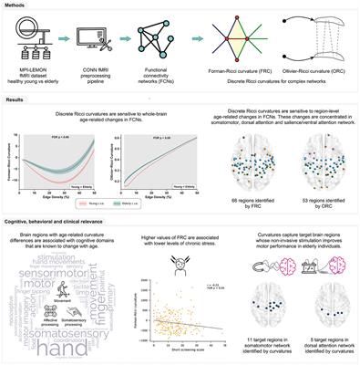 Discrete Ricci curvatures capture age-related changes in human brain functional connectivity networks