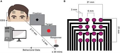 Alerting attention is sufficient to induce a phase-dependent behavior that can be predicted by frontal EEG