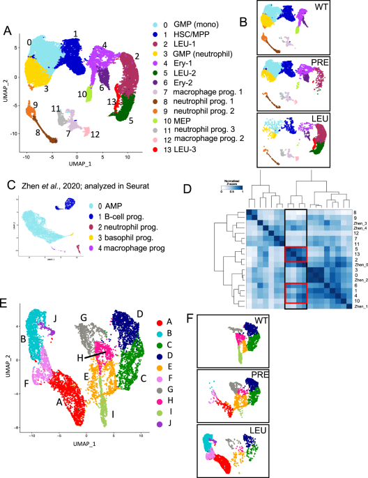 Characterization of leukemia progression in the Cbfb-MYH11 knockin mice by single cell RNA sequencing
