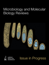 A Reduction of Transcriptional Regulation in Aquatic Oligotrophic Microorganisms Enhances Fitness in Nutrient-Poor Environments