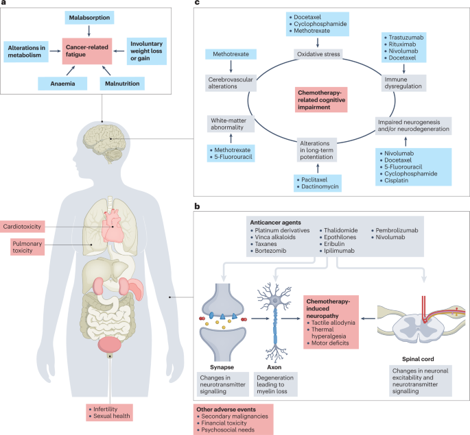 Mitigating long-term and delayed adverse events associated with cancer treatment: implications for survivorship