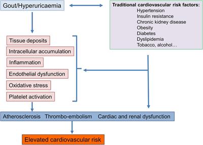 Gout and hyperuricaemia: modifiable cardiovascular risk factors?