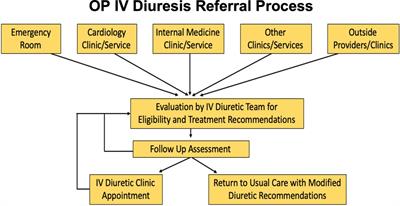 Outpatient intravenous diuresis in a rural setting: safety, efficacy, and outcomes
