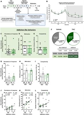 THC exposure during adolescence increases impulsivity-like behavior in adulthood in a WIN 55,212-2 self-administration mouse model