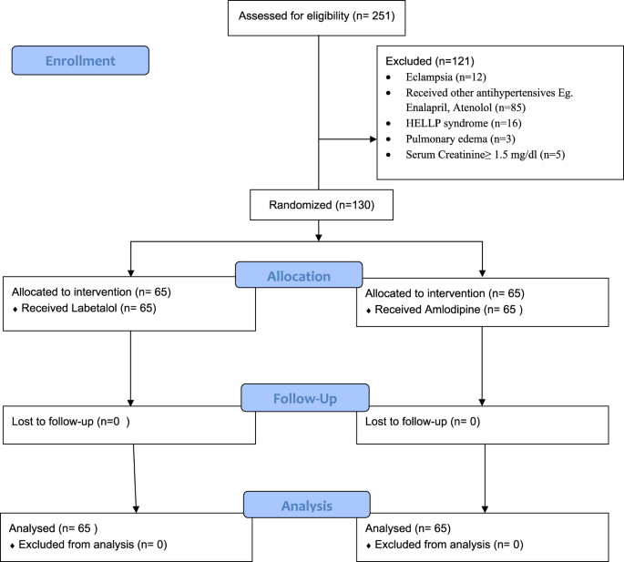 Comparing the efficacy of oral labetalol with oral amlodipine in achieving blood pressure control in women with postpartum hypertension: randomized controlled trial (HIPPO study—Hypertension In Pregnancy & Postpartum Oral-antihypertensive therapy)