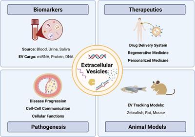 Extracellular vesicles as biomarkers and modulators of atherosclerosis pathogenesis