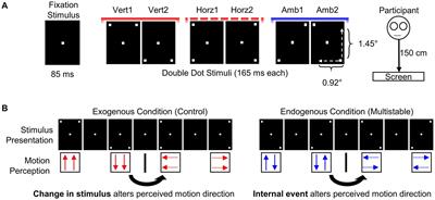 Multistable perception elicits compensatory alpha activity in older adults