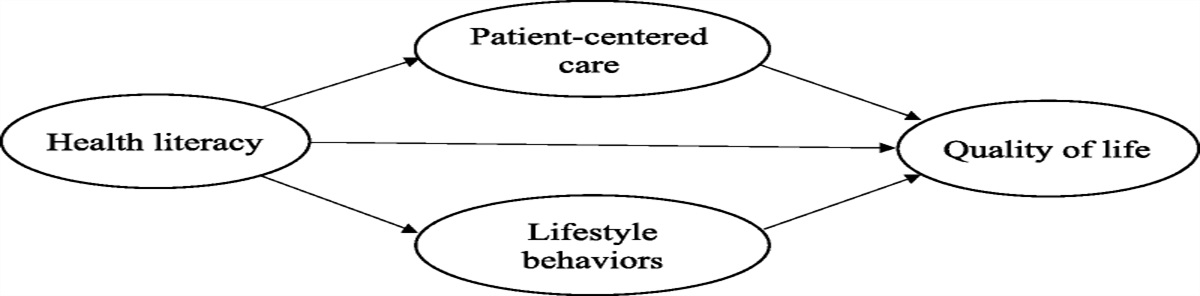 The Effect of Health Literacy on Health-Related Quality of Life Among Saudi Women With Chronic Diseases