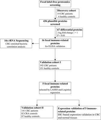 Construction of a fecal immune-related protein-based biomarker panel for colorectal cancer diagnosis: a multicenter study