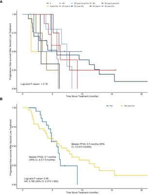 Continuation of anti-PD-1 therapy plus physician-choice treatment beyond first progression is not associated with clinical benefit in patients with advanced non-small cell lung cancer