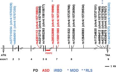 Genetic polymorphisms of bone marrow stromal cell antigen-1 (BST-1/CD157): implications for immune/inflammatory dysfunction in neuropsychiatric disorders