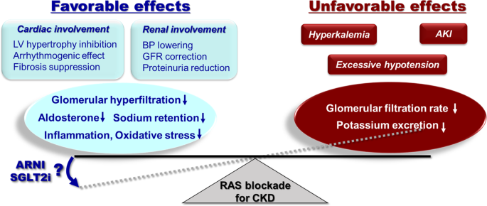 Need to continue or discontinue RAS inhibitors as CKD stage advances? Any alternative?