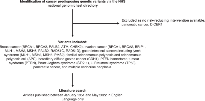 Risk-reducing surgery for individuals with cancer-predisposing germline pathogenic variants and no personal cancer history: a review of current UK guidelines