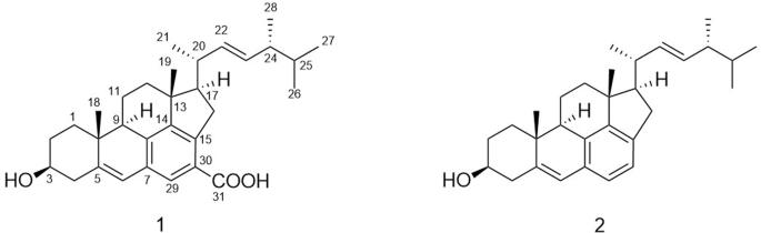 Rubensteroid A, a new steroid with antibacterial activity from Penicillium rubens AS-130