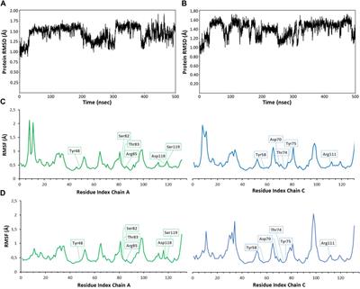Glycomimetic antagonists of BC2L-C lectin: insights from molecular dynamics simulations