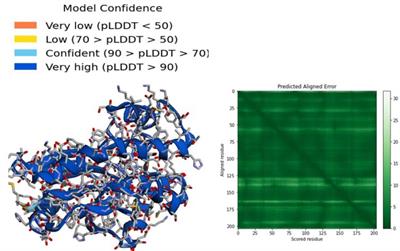 Computer-assisted drug repurposing for thymidylate kinase drug target in monkeypox virus