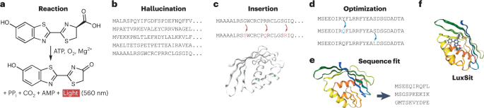 Illuminating enzyme design using deep learning