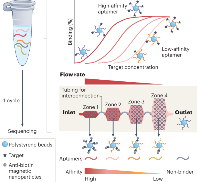 Selecting aptamers with programmed affinities